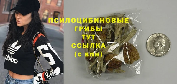 прущие грибы Нея