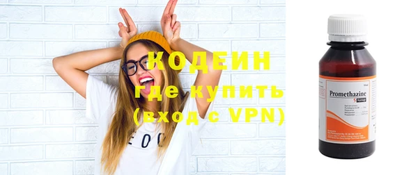 прущие грибы Нея