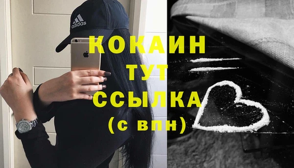 прущие грибы Нея
