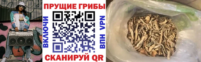 Псилоцибиновые грибы Psilocybe  Красково 